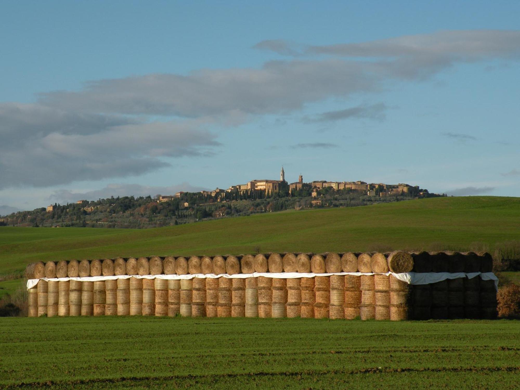 Agriturismo Bonello Villa Pienza Exterior foto