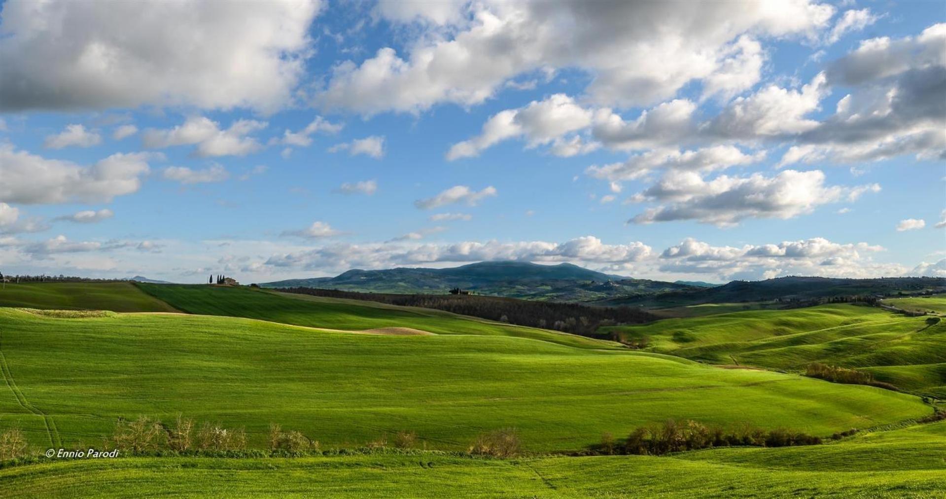 Agriturismo Bonello Villa Pienza Exterior foto