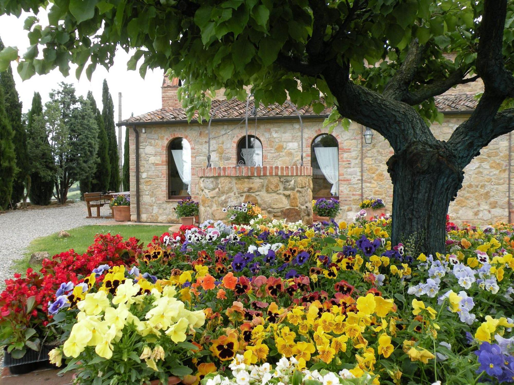 Agriturismo Bonello Villa Pienza Exterior foto