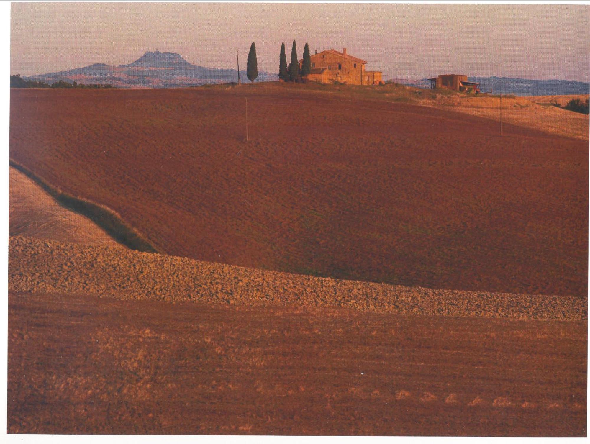 Agriturismo Bonello Villa Pienza Exterior foto