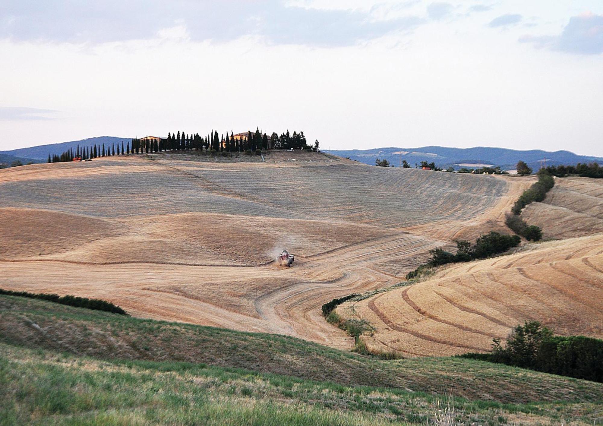 Agriturismo Bonello Villa Pienza Exterior foto