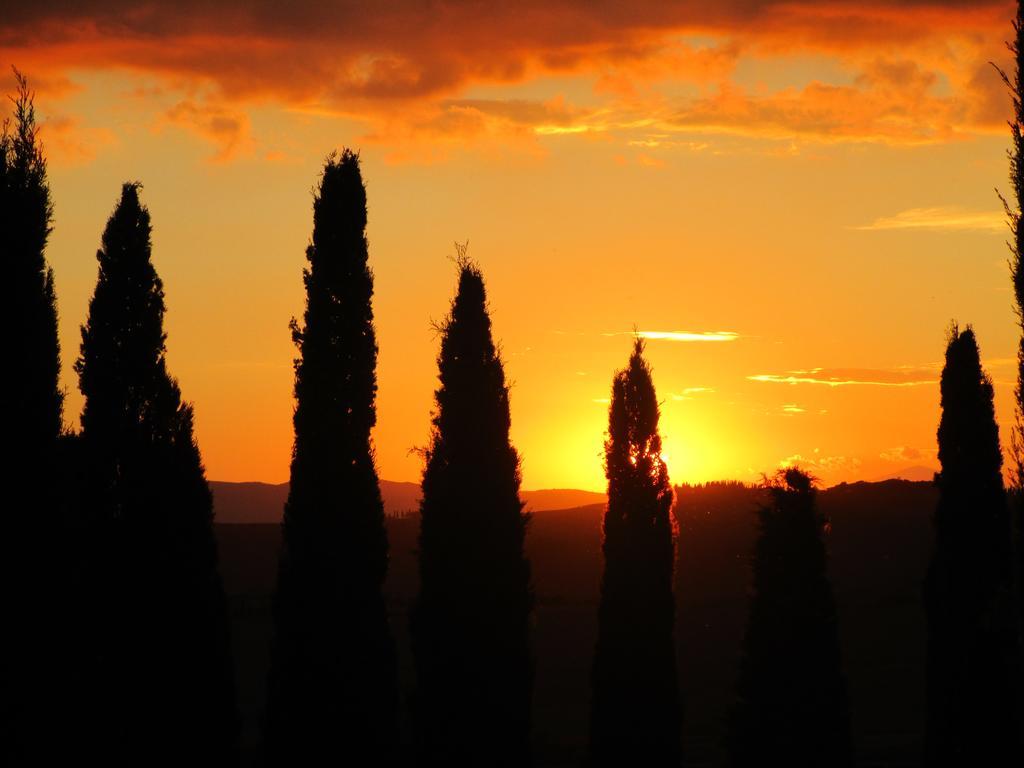 Agriturismo Bonello Villa Pienza Exterior foto