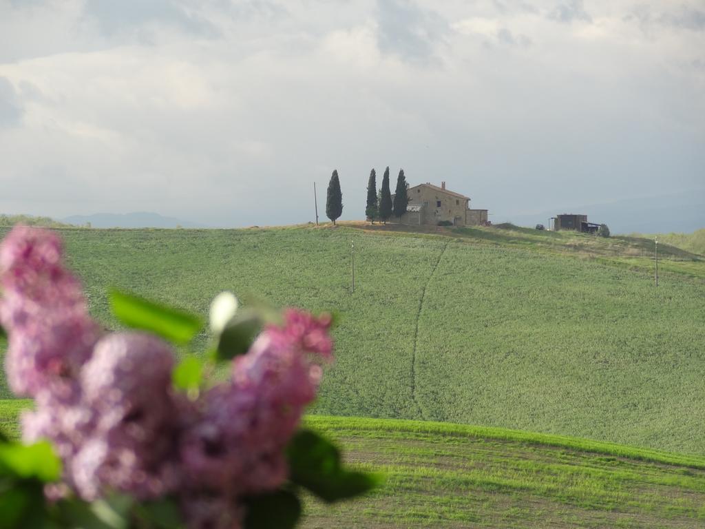 Agriturismo Bonello Villa Pienza Exterior foto